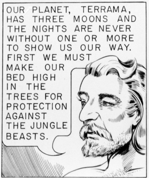Our Planet, Terrama, has three moons and the nights are never without one or more to show us our way.  First we must make our bed high in the trees for protection against the jungle beasts.