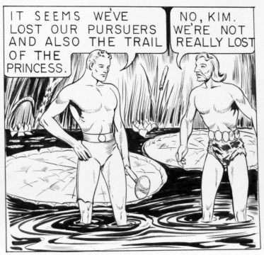 It seems we've lost our pursuers and also the trail of the princess.   No, Kim we're not really lost...