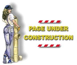 Picture of girl standing next to under construction sign.