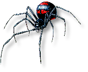 Spider that represnts the crawling and spidering of the Internet
